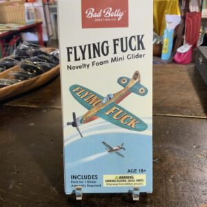Flying novelty foam glider box