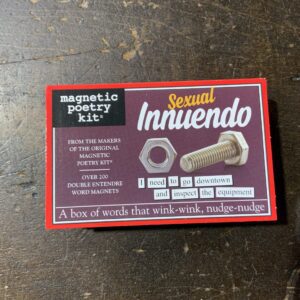 Double entendre magnetic word set