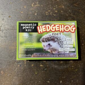 Hedgehog themed word magnets box