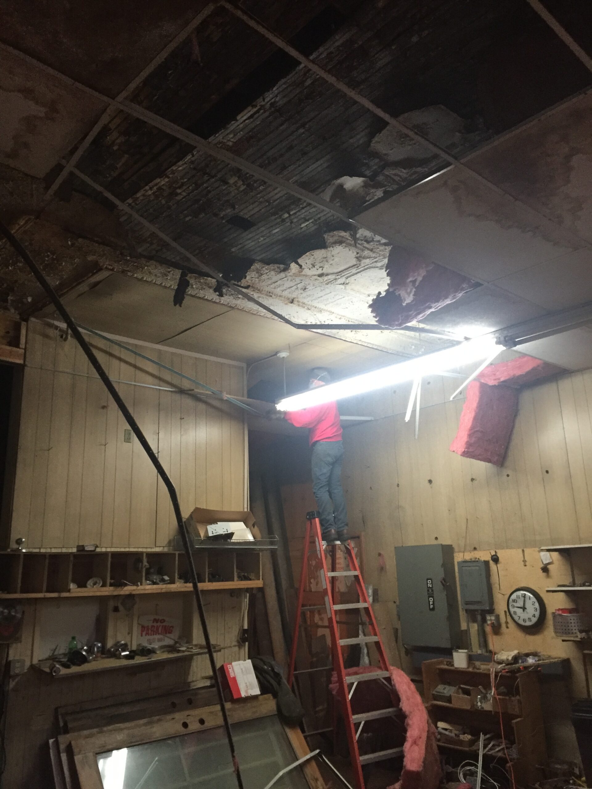 Man fixing ceiling on ladder