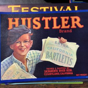 Vintage fruit crate label with smiling boy