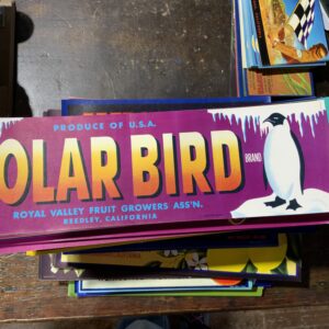 Colorful Polar Bird brand label design